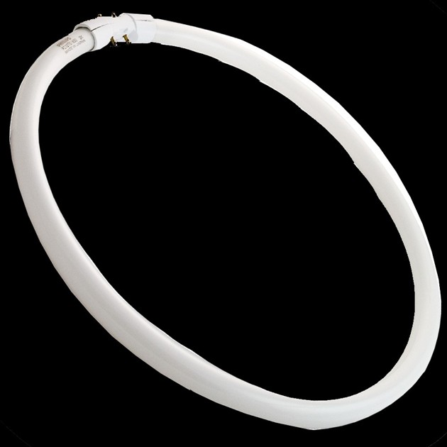 Cirkellysrör T5 22W 830